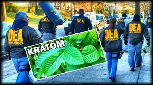FDA and DEA on kratom