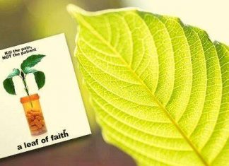 A Leaf Of Faith