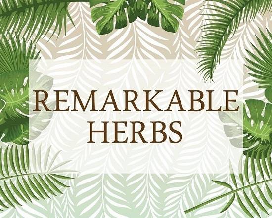 Remarkable Herbs Kratom