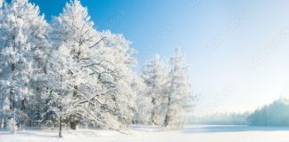 How can Kratom Help in Winters