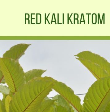 Kalimantan Red Vein Kratom