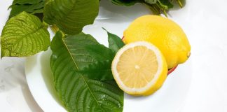 How To Potentiate Kratom with Citrus