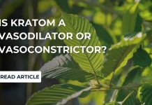 Is Kratom A Vasodilator or Vasoconstrictor