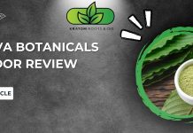 Kanva Botanicals Vendor Review